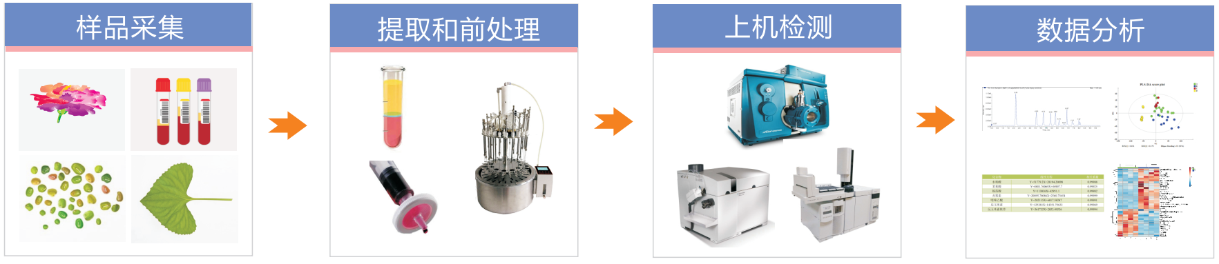 生物胺定量檢測(cè)