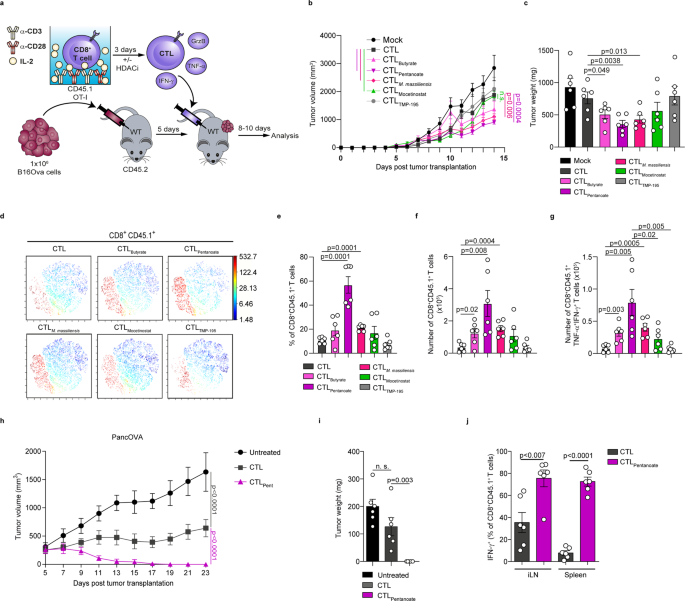 腫瘤治療“黑馬”登場！Nature子刊：100萬億腸道細菌打破CAR-T實體瘤魔咒