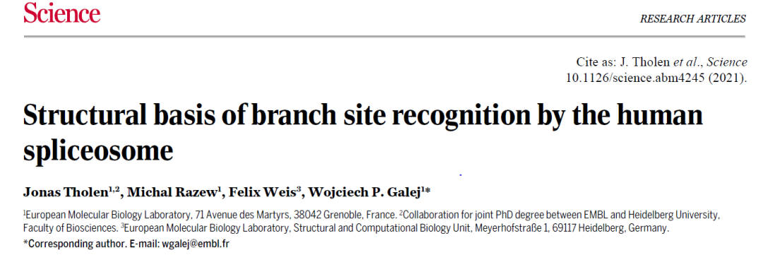 人類(lèi)剪接體分支位點(diǎn)識(shí)別的結(jié)構(gòu)基礎(chǔ)