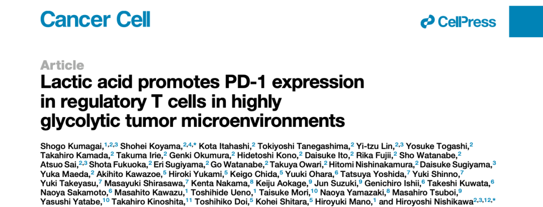 Treg細胞乳酸代謝：腫瘤免疫治療新策略